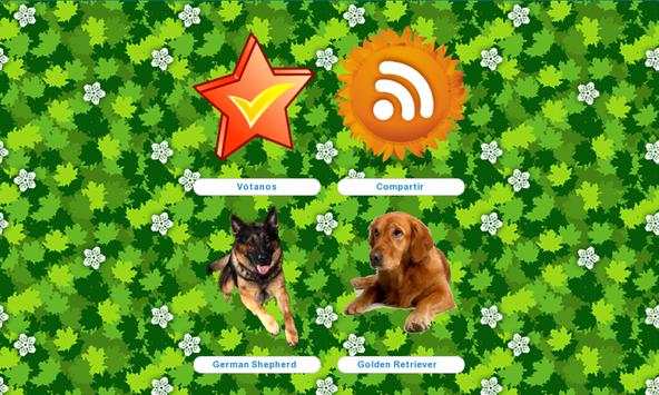 Dog Breeds Pictures screenshot 4