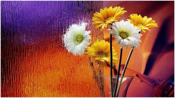 Photo Editor PRO screenshot 1