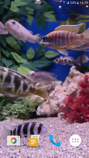 Aquarium 4K Live Wallpaper screenshot 6