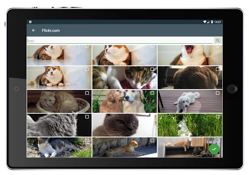 Digital Photo Frame for your interior screenshot 3
