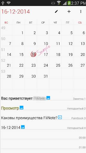 FiiWrite скриншот 7