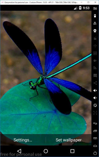 Ladybug 3D Live Wallpaper 13 تصوير الشاشة