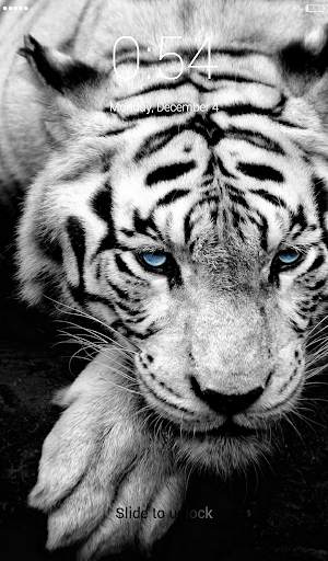 White Tigers Lock Screen Wallpaper screenshot 1