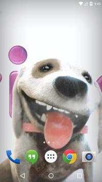 Puppy Licks Screen Animation स्क्रीनशॉट 2