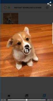 Instant Download & Share for Instagram screenshot 7
