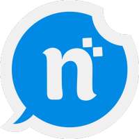 Numerix Lite logo