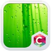 Green Leaf C Launcher Theme 4.8.7
