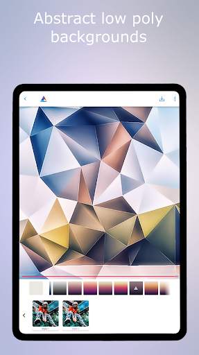 Low Poly - Editor & Photo FX screenshot 11