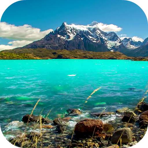 Landscape Video Live Wallpaper 4.0