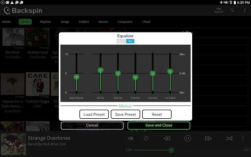 Backspin Music Player screenshot 13