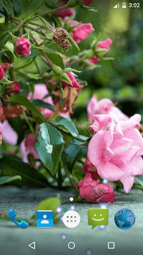 Pink Roses Live Wallpaper screenshot 1