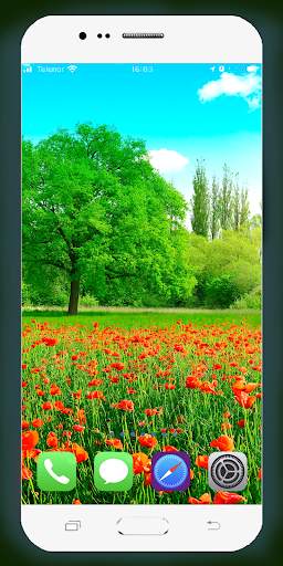 Green Nature Wallpaper screenshot 13