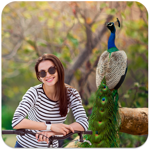 Peacock Photo Frames icon