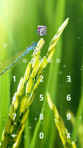AppLock Live Theme Paddy – Paid Theme screenshot 2