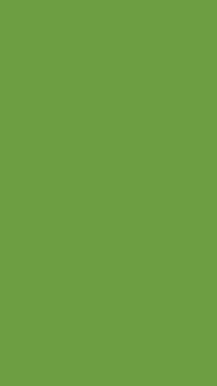 Plain Color Wallpapers Solid color wallpapers screenshot 13