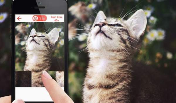 Cat Jigsaw Puzzle Game screenshot 4