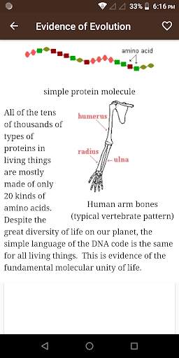 Anthropology screenshot 2