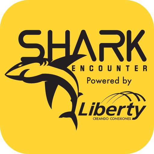 Shark Encounters 1