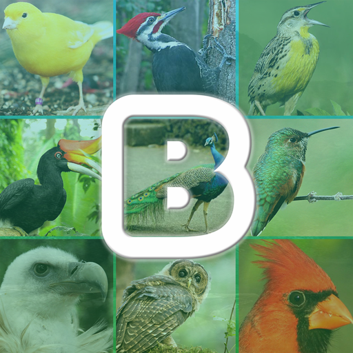 Birds Sounds App आइकन