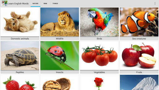 Learn English Words Free screenshot 17