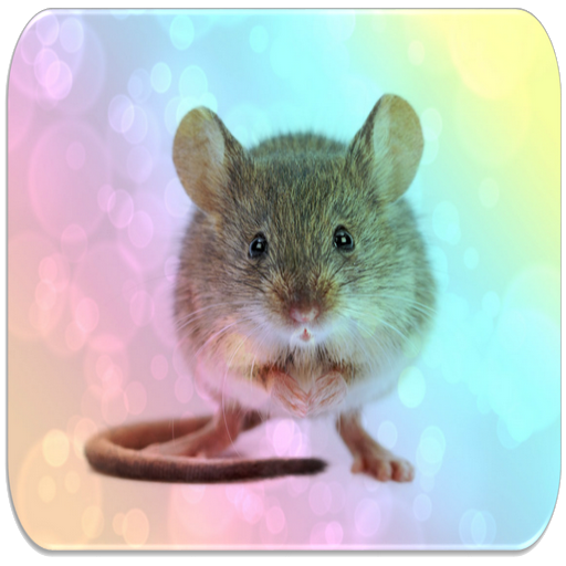 Mouse sounds icon