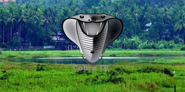 Cobra TV screenshot 1