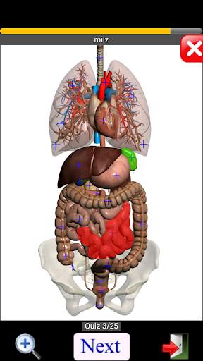Anatomy Quiz screenshot 6