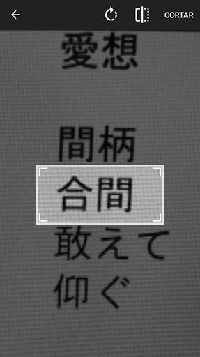 Mini Diccionario Japones screenshot 4