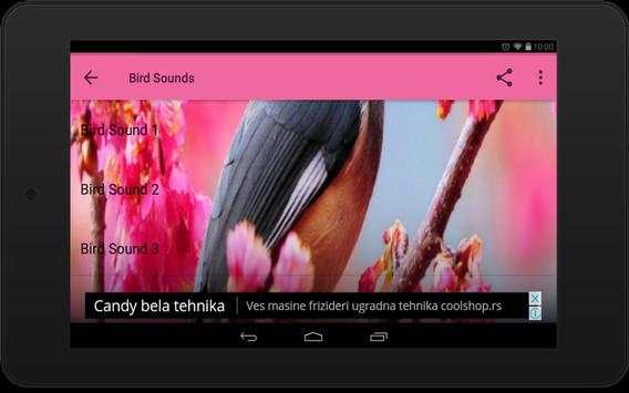 Birds Sounds स्क्रीनशॉट 4