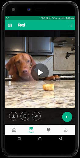 Funklips - Funny Short Videos, Viral Memes & Gifs screenshot 1