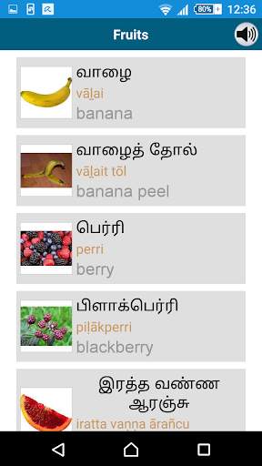 Learn Tamil - 50 languages screenshot 7
