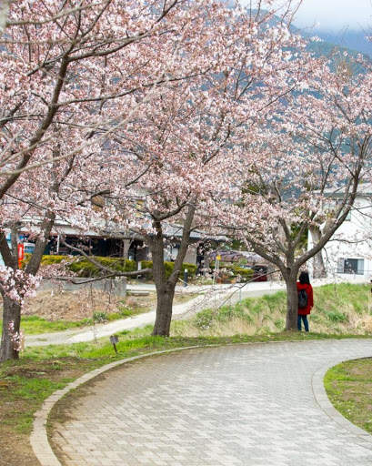 Beautiful Spring Wallpaper 2 تصوير الشاشة