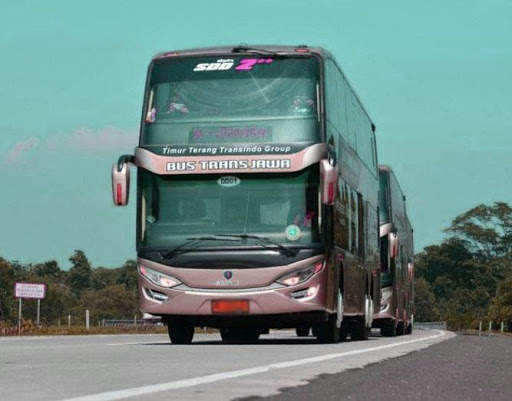 Bus Patas Wallpaper screenshot 2