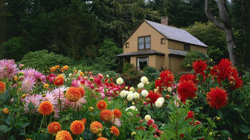 Garden Wallpaper screenshot 5