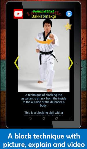Taekwondo Pro screenshot 12