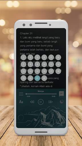 Alkitab indonesia inggris screenshot 8