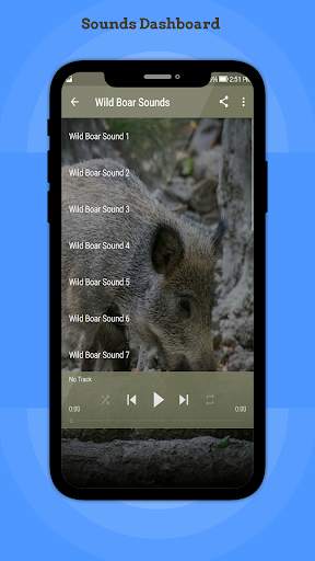 Wild Boar Sounds 4 تصوير الشاشة