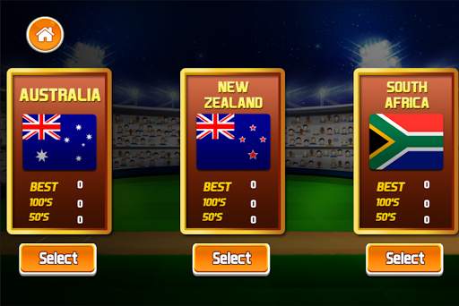 Cricket World screenshot 3