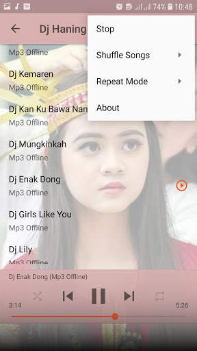 Dj Haning - Lagu Dayak Offline screenshot 5