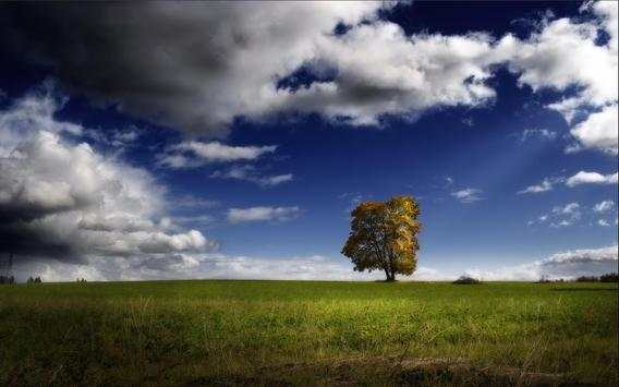 Nature Wallpapers Live screenshot 2