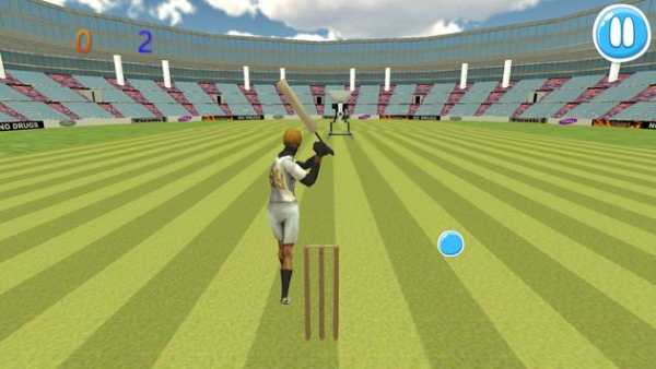 Cricket Bat Ball Hit 3D screenshot 3
