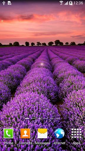 Autumn Flowers Live Wallpaper screenshot 6
