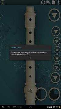 Music Flute screenshot 7