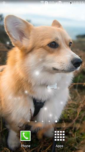 Puppies Live Wallpaper screenshot 3