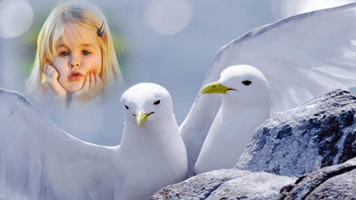 Dove Photo Frame screenshot 1