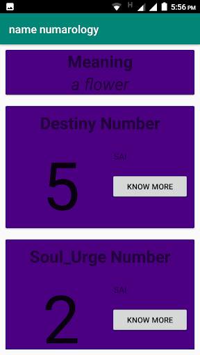 Name Numerology & Baby Names скриншот 3