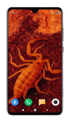 Scorpion Wallpaper screenshot 13