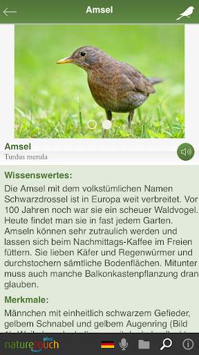 Vogelstimmen live erkennen - naturetouch स्क्रीनशॉट 8