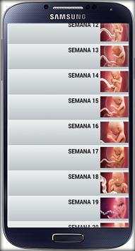 Semanas de Embarazo Guide 1 تصوير الشاشة