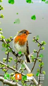 Birds Live Wallpapers screenshot 2